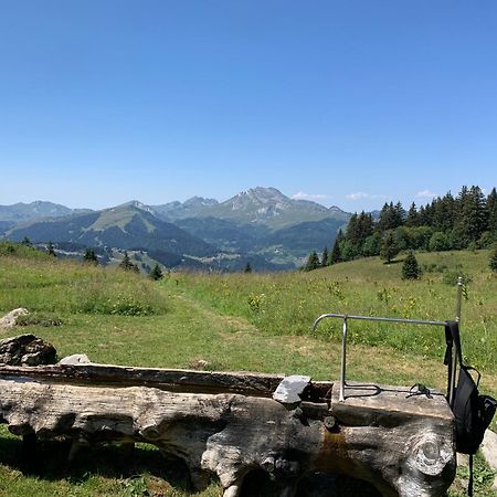 Chalet Yuki Morzine Eksteriør bilde