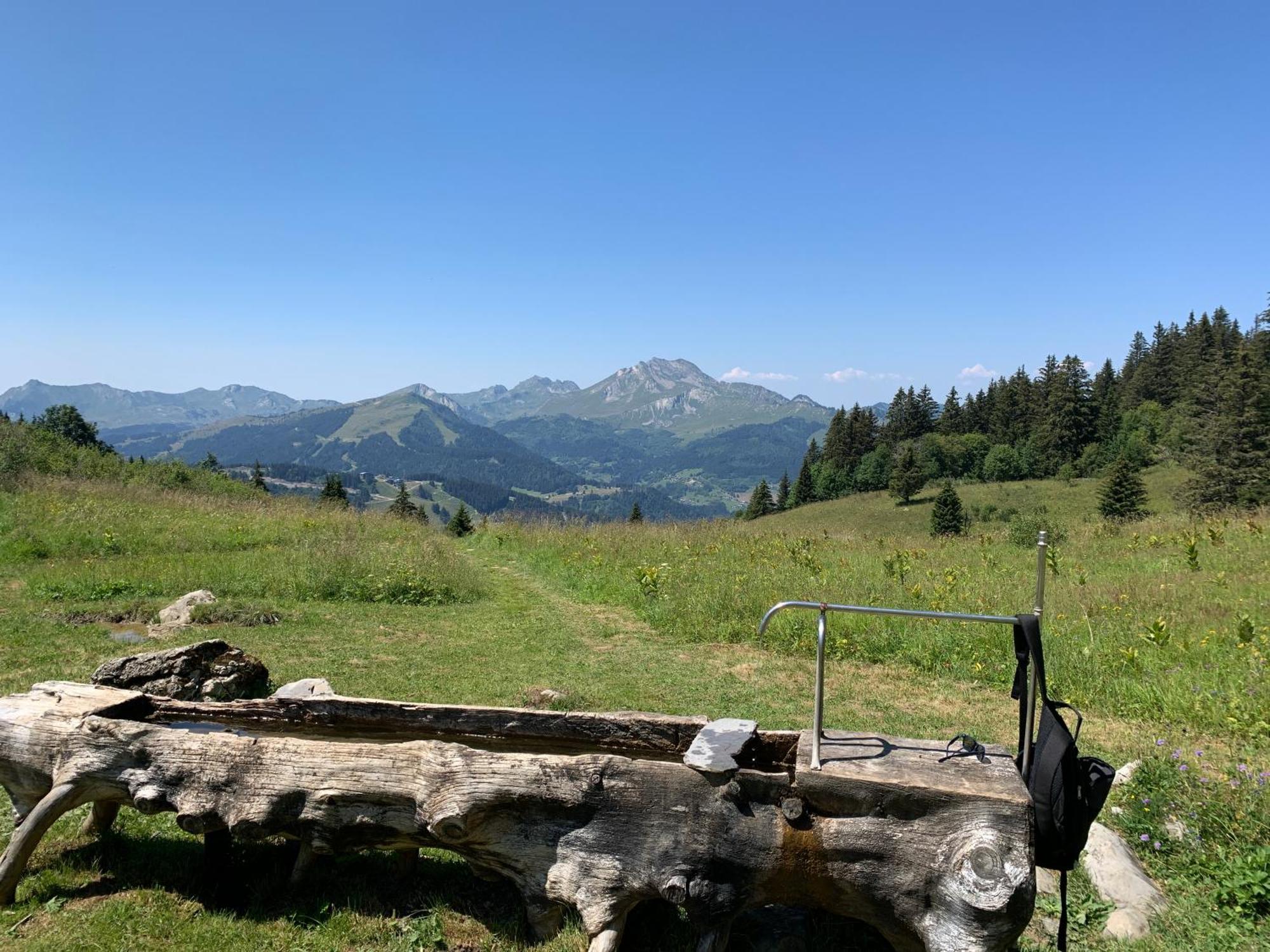 Chalet Yuki Morzine Eksteriør bilde